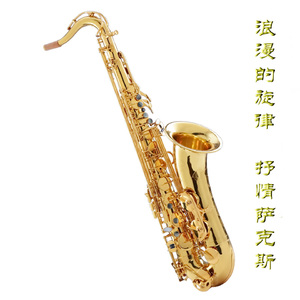 女友被群交成公厕性奴
